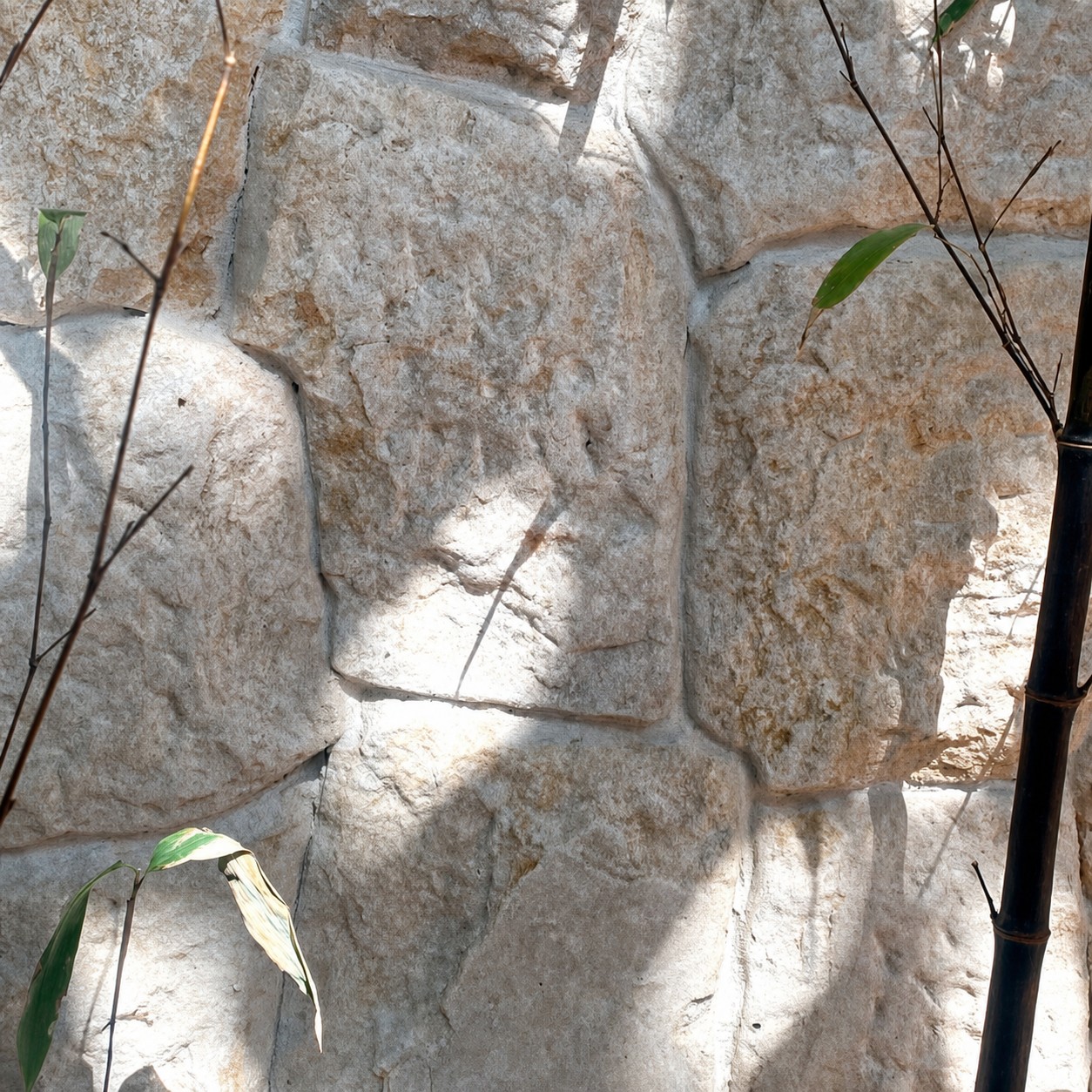 Ambiente com Suez Orgânico